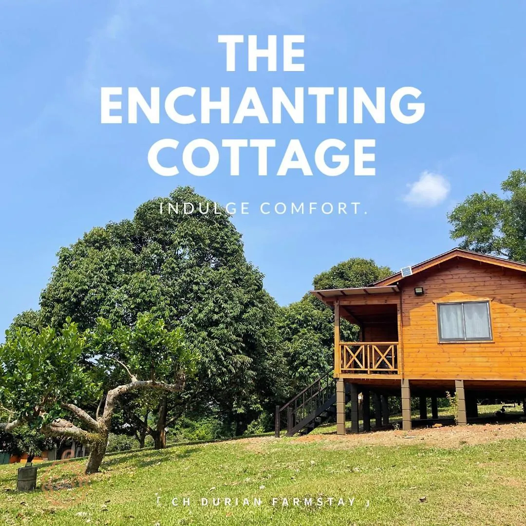 Ch Durian Farmstay Malacca